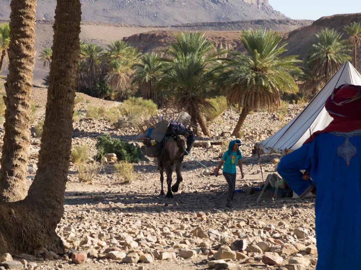 Bivouac Les Nomades Foum Zguid Exterior foto