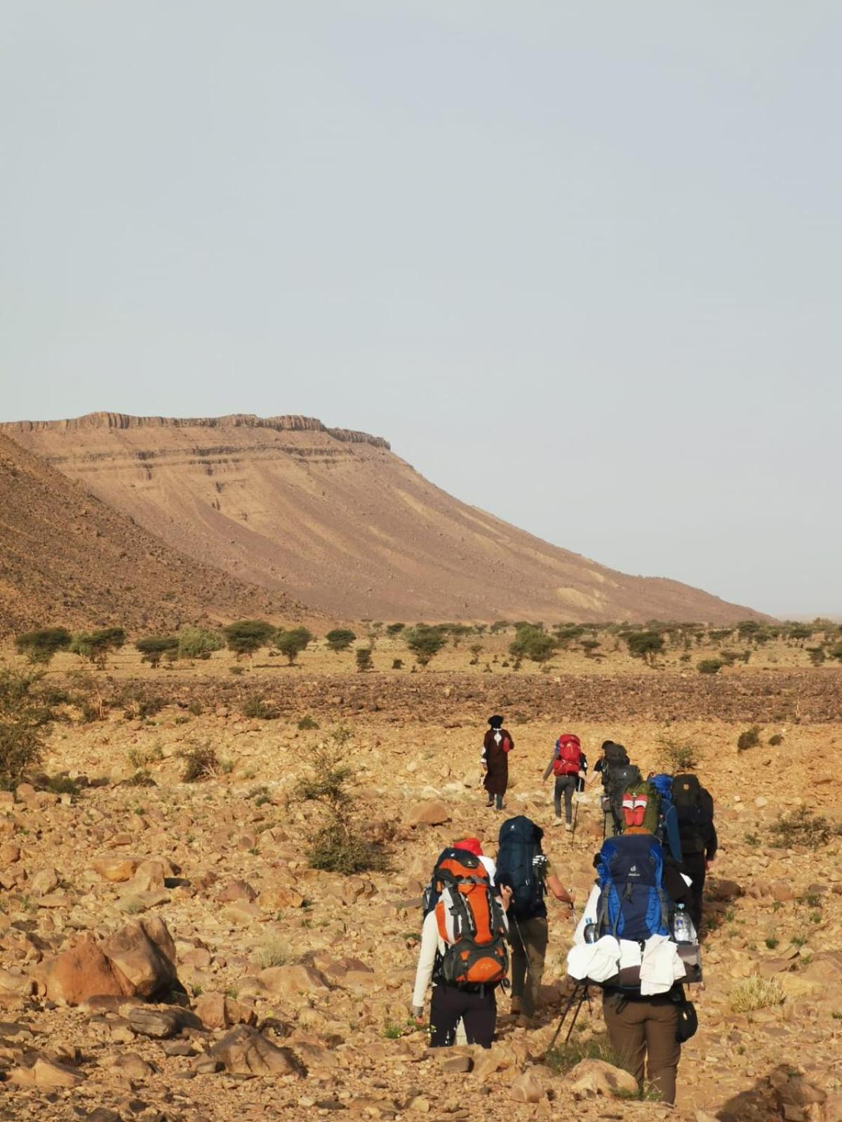 Bivouac Les Nomades Foum Zguid Exterior foto