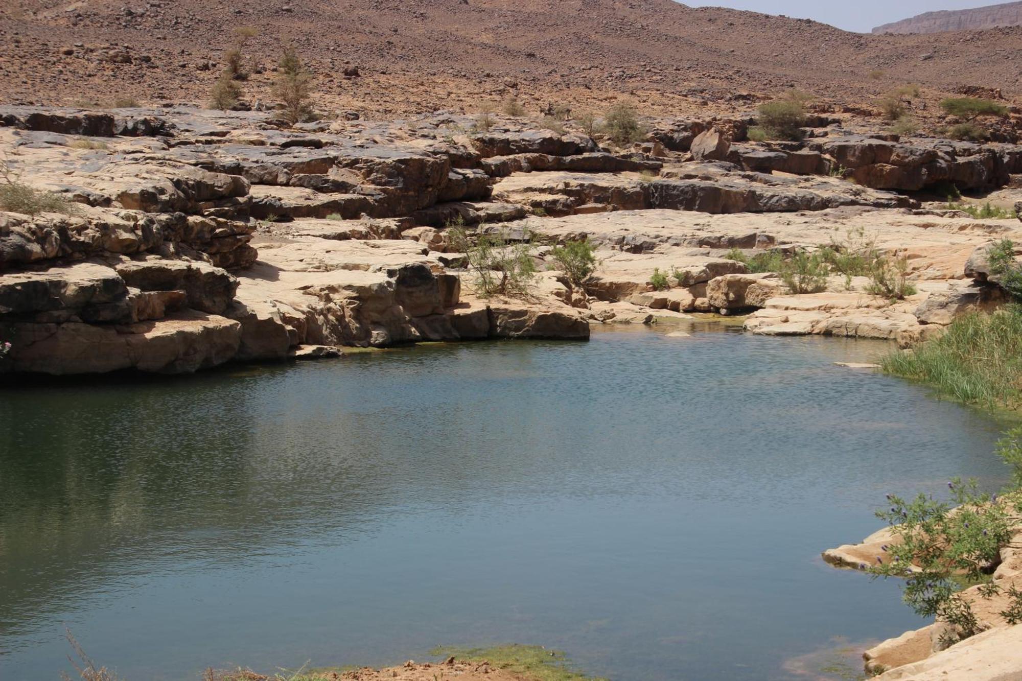 Bivouac Les Nomades Foum Zguid Exterior foto