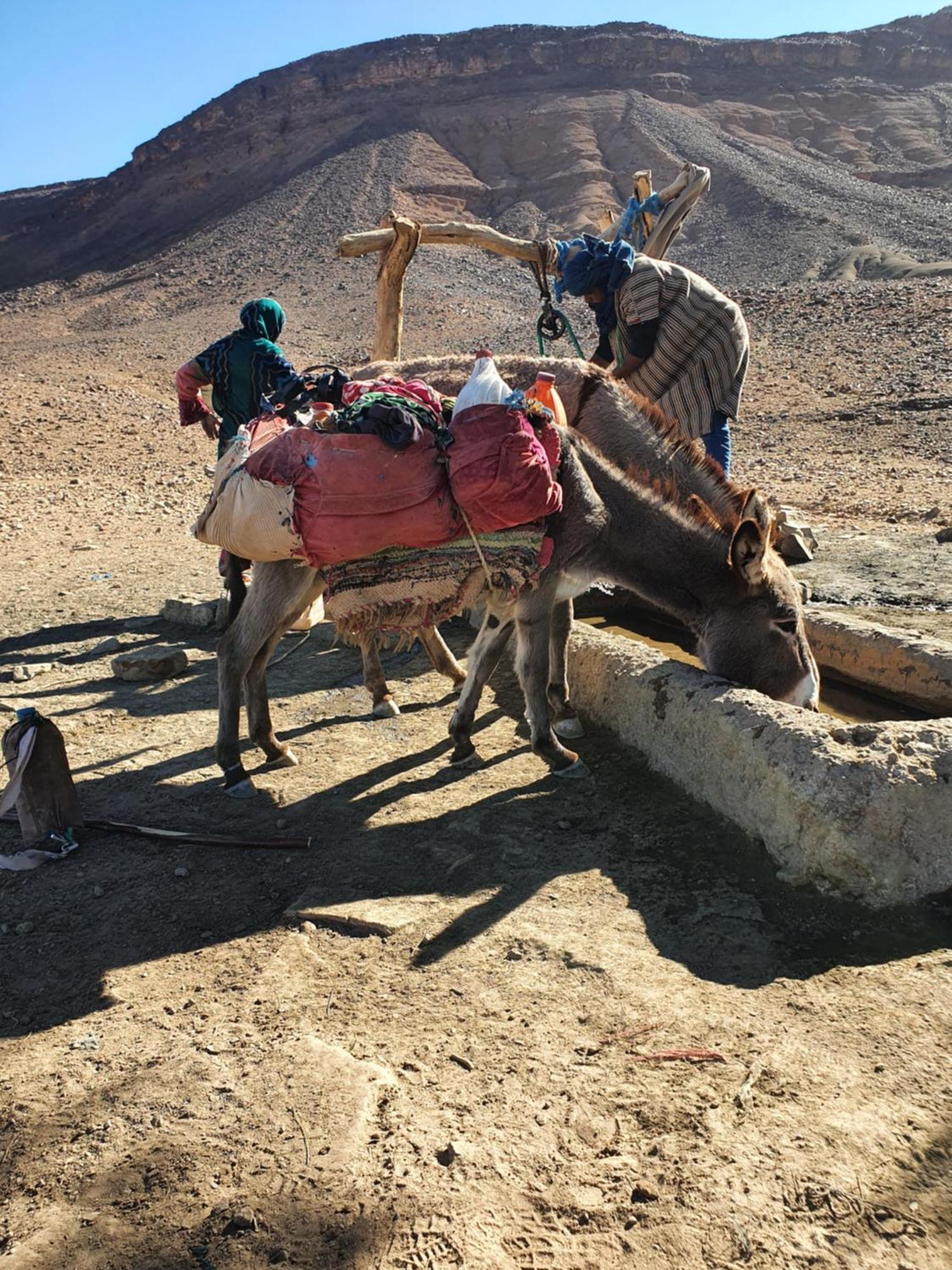 Bivouac Les Nomades Foum Zguid Exterior foto