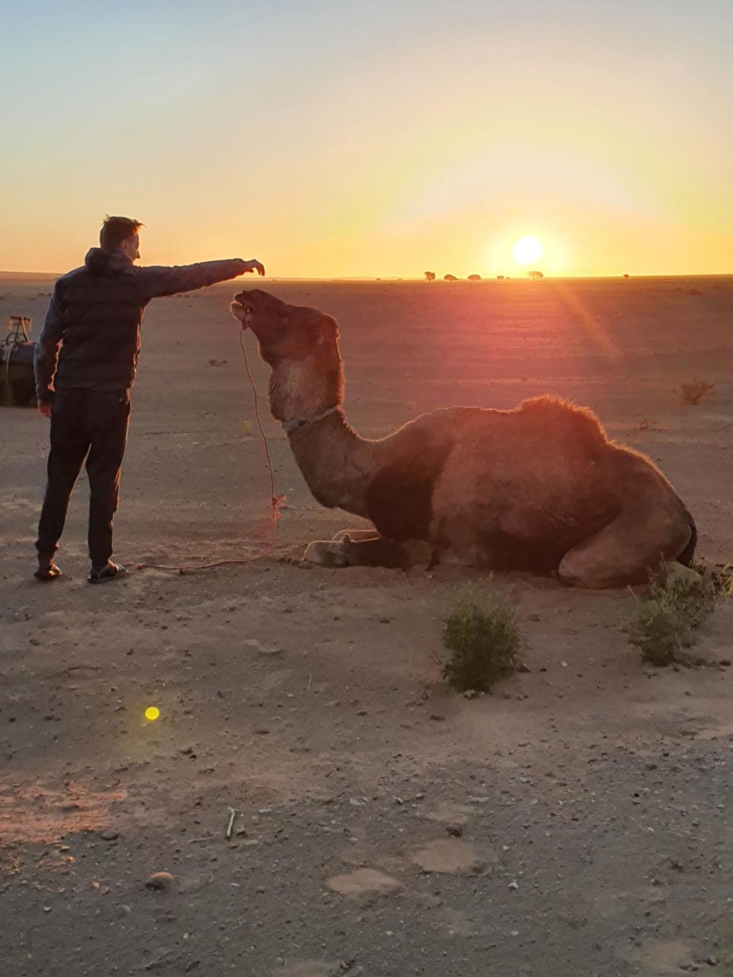 Bivouac Les Nomades Foum Zguid Exterior foto